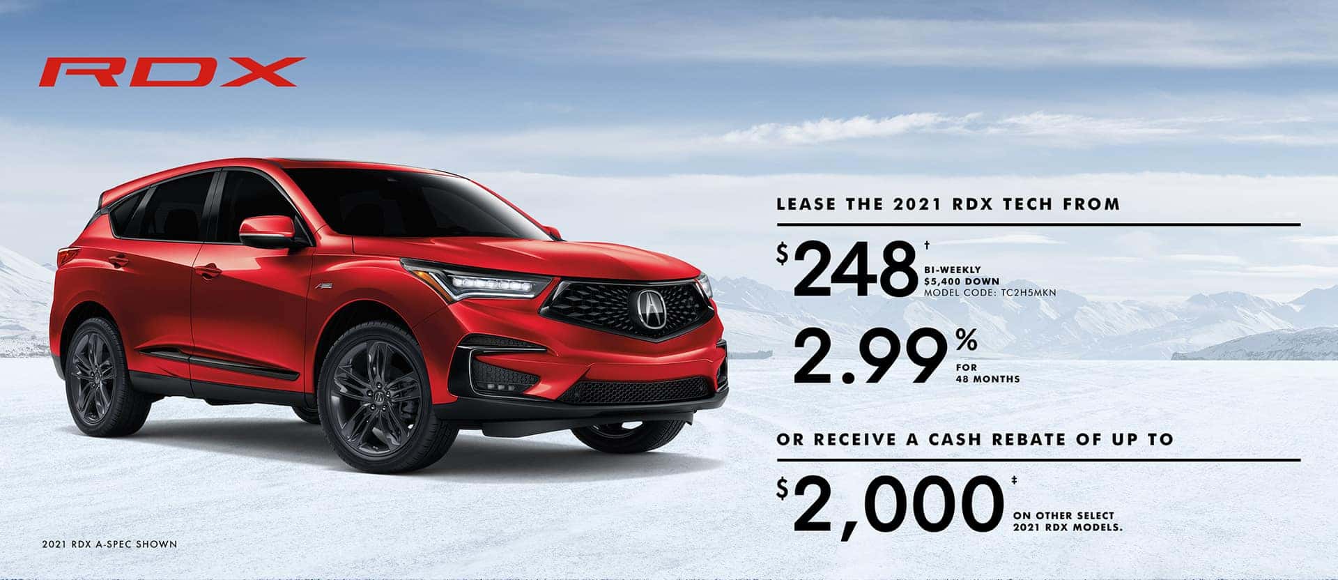 RDX Jan offer desktop banner
