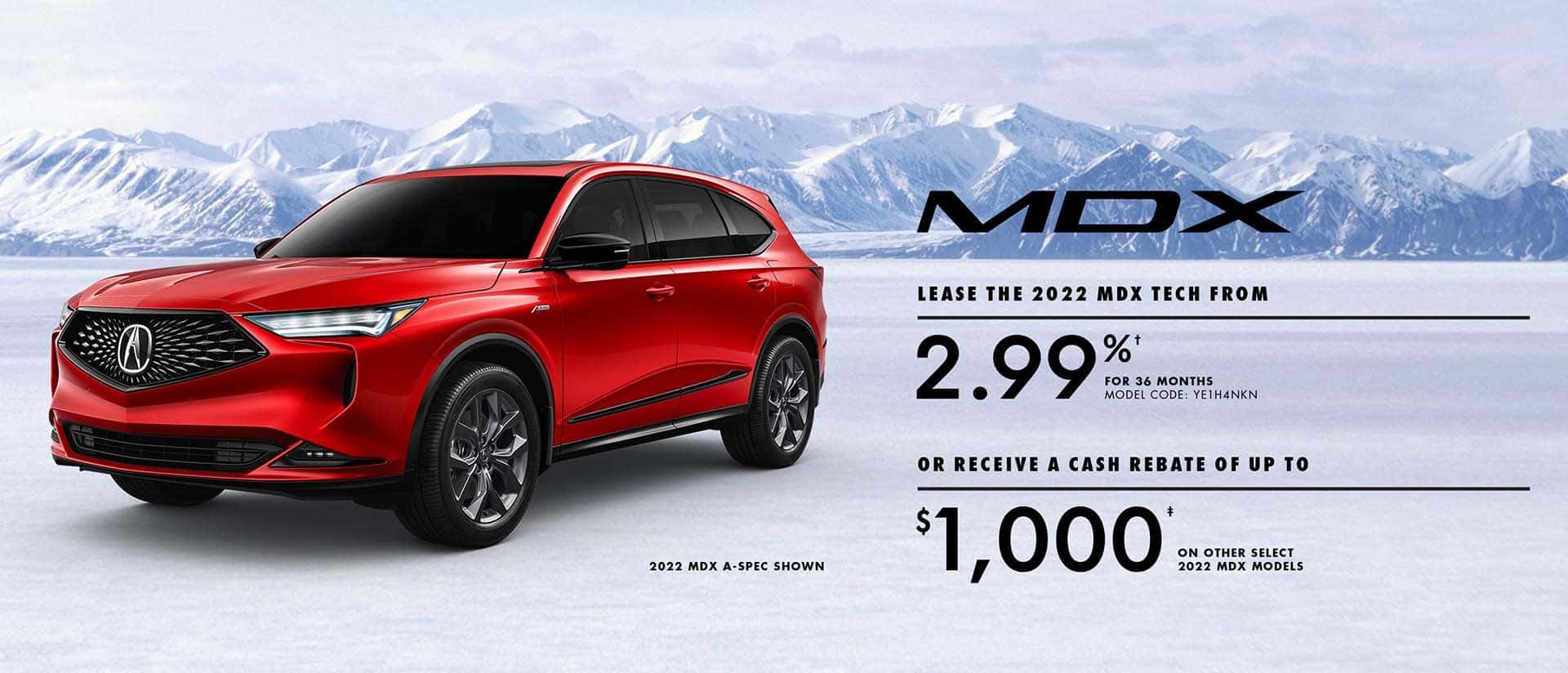Jan 2022 MDX Promo