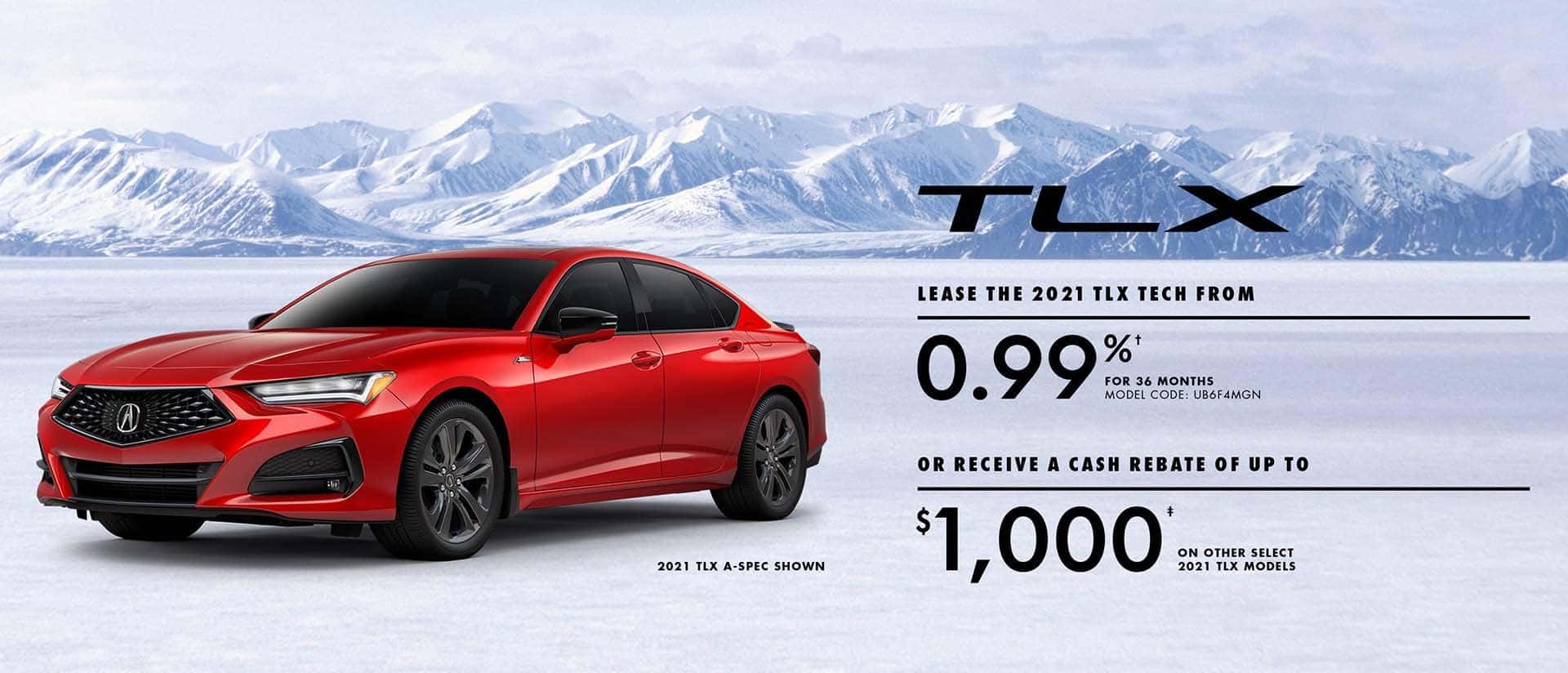 Jan 2022 TLX Promo