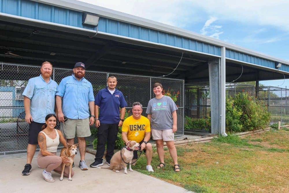 Allen Samuels staff volunteering with dogs at a local animal shelter