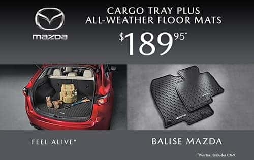 All-Weather Floor Mats and Cargo Tray Special