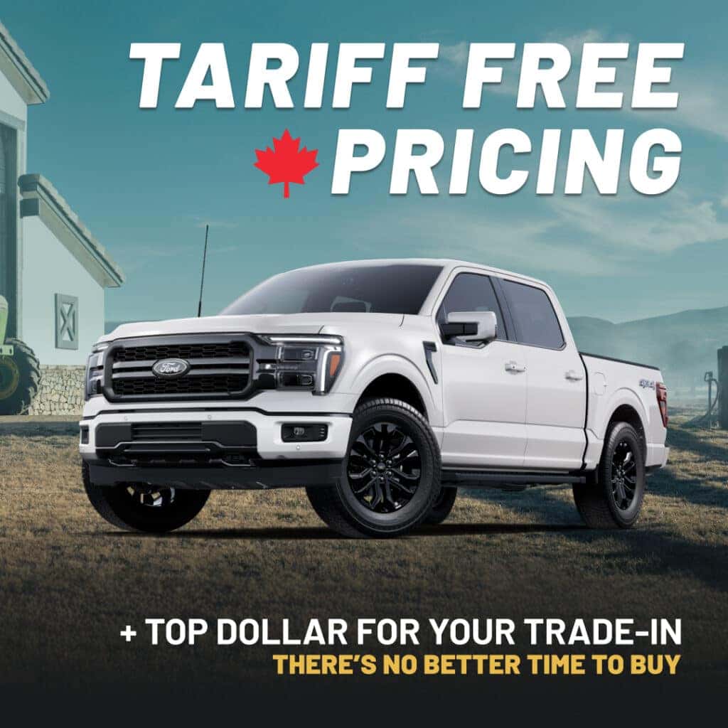 Buy Now and Save Big!