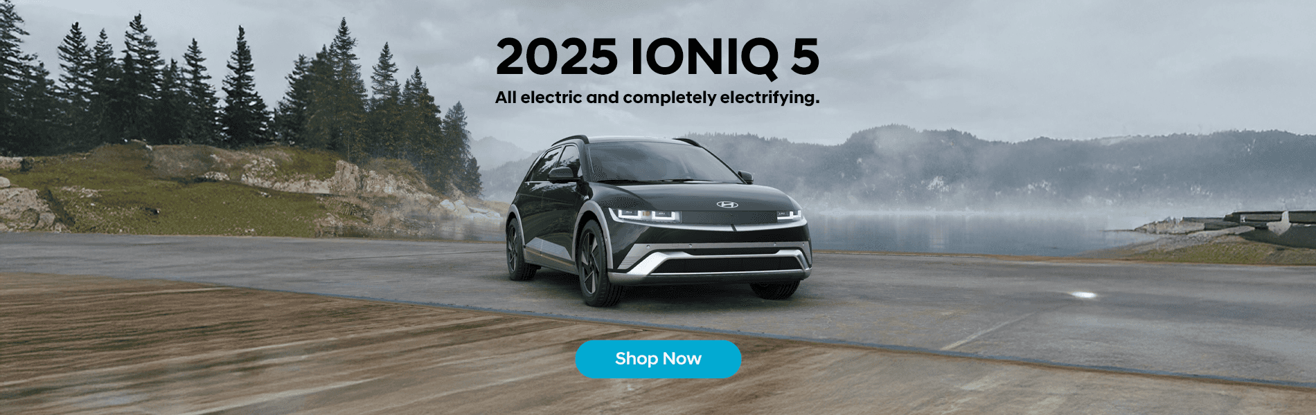 2025 Ioniq 5
