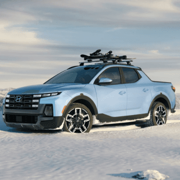 2026 santa cruz