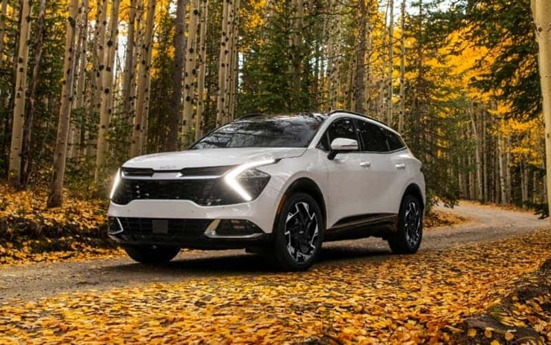 Leasing vs Buying a Kia 