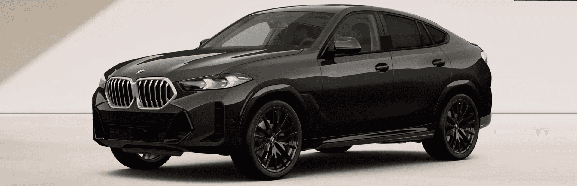 2026 BMW X6
