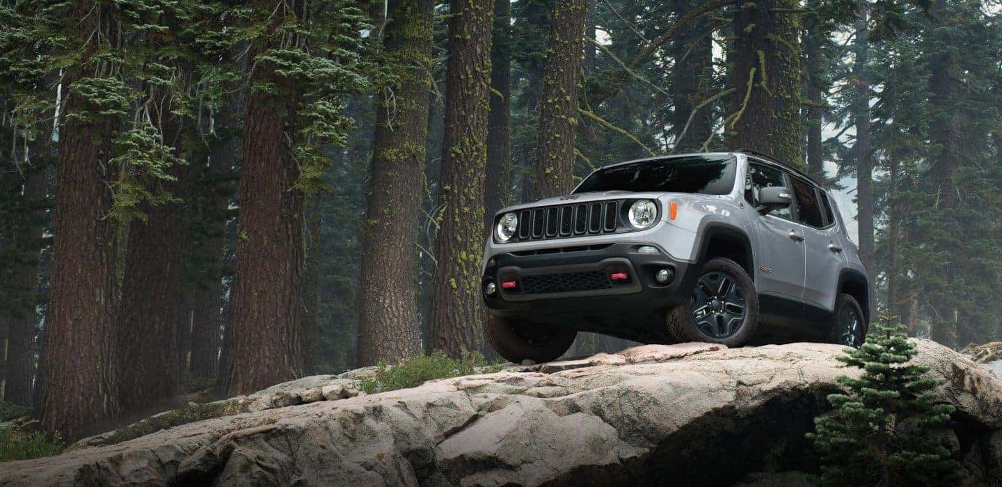jeep renegade up on mountain surrounded by trees
