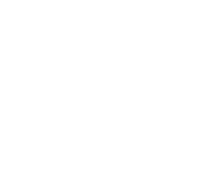 Just call or schedule online and we bring the test drive to you.