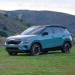 Blue Kia Seltos parked in a field.