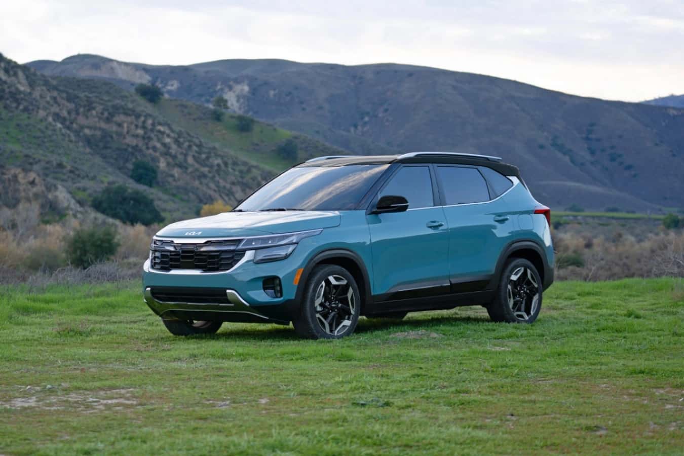 Blue Kia Seltos parked in a field.