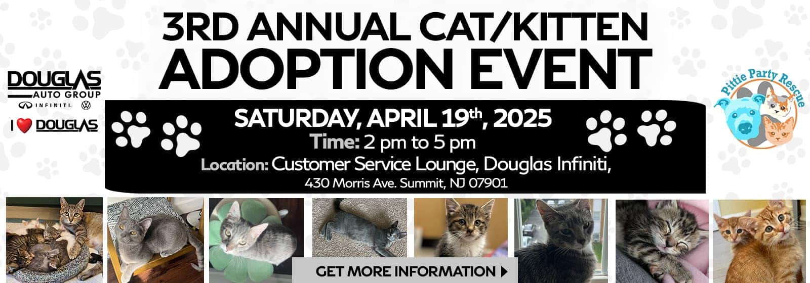 DOVW8507613588-Douglas-Cat-Kitten-Adoption-Slide-DOIN