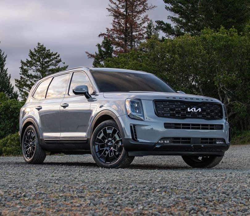 2022 Telluride on rocky road in forest scenery