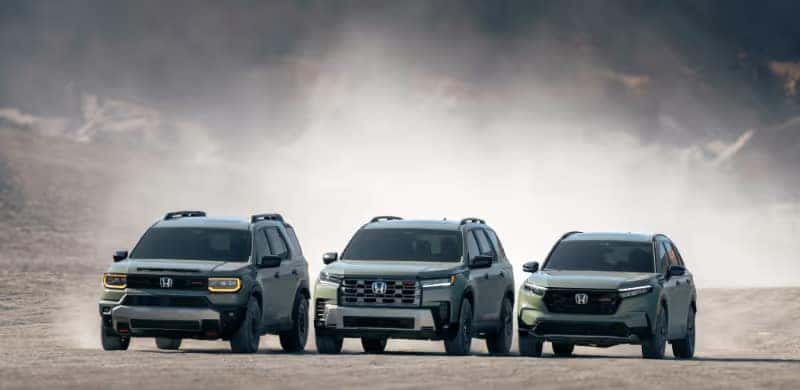 TrailSport
