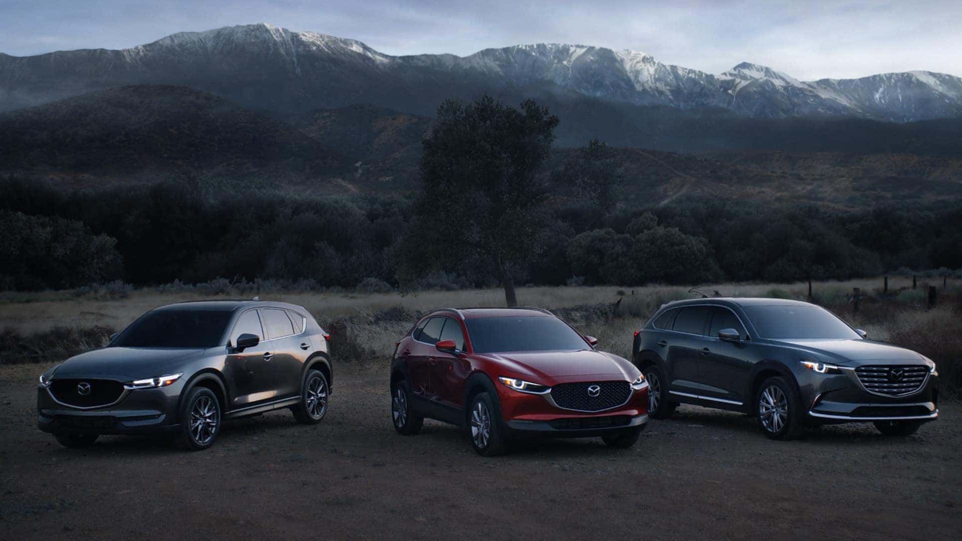 Three Mazda vehicles parked outside with mountains, trees, and grass behind them.