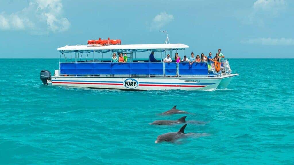 Dolphin-Watching Tour