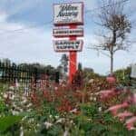 wilcox nursery & landscape