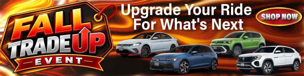 Fall Trade Up