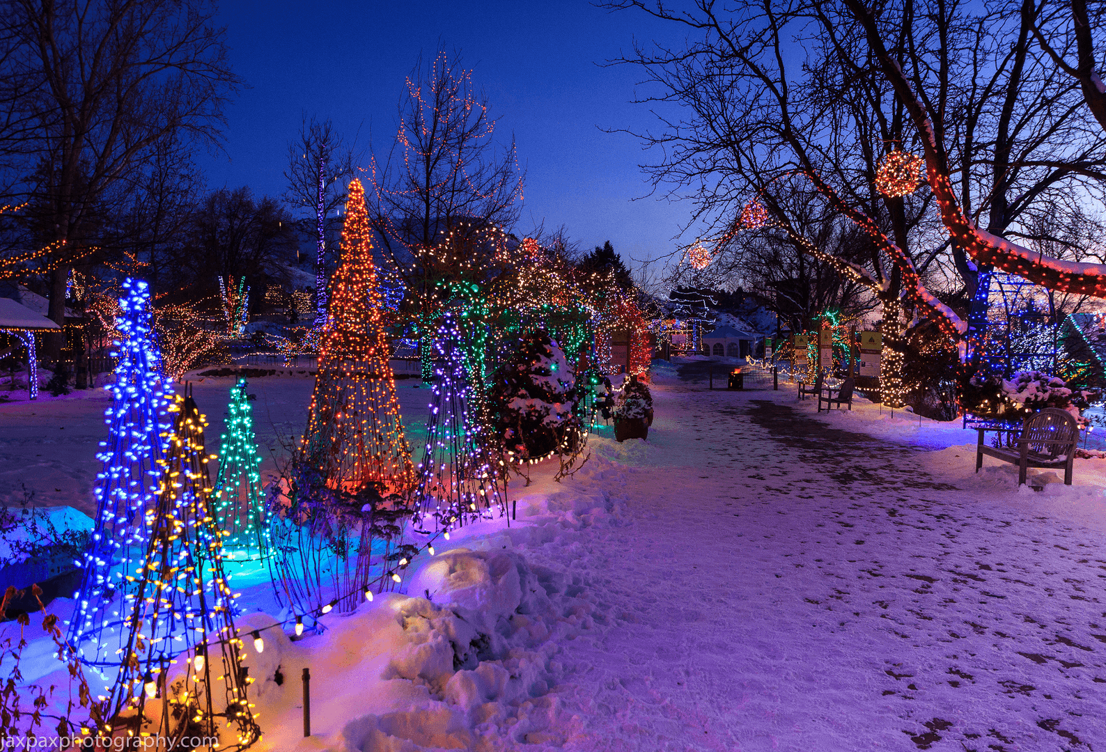 2019 Winter Garden aGlow Boise ID | Lyle Pearson Acura