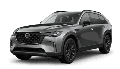 3.3 Turbo Premium Sport