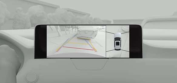 360° View Monitor