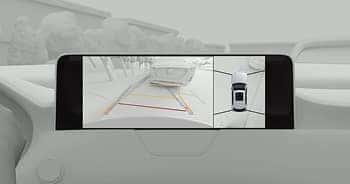 360° View Monitor