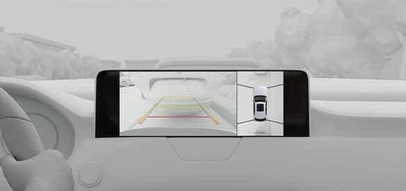 360-View-Monitor