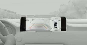 360-View-Monitor