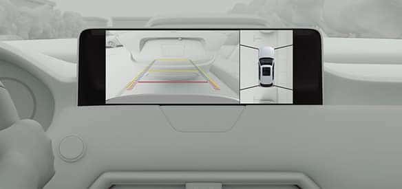 360° View Monitor