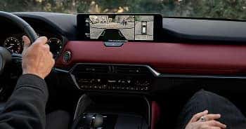 360° VIEW MONITOR
