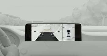 360° View Monitor with See-Through View