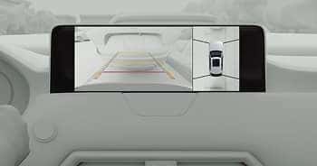 360° View Monitor