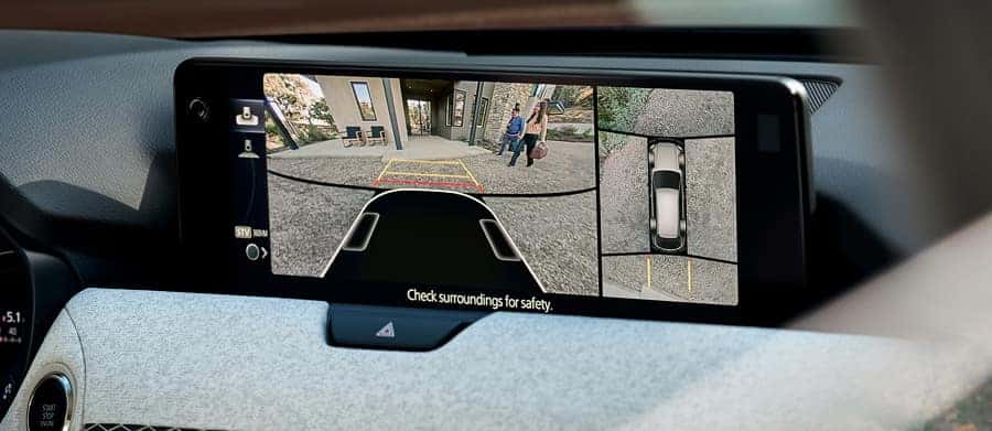 360° View Monitor