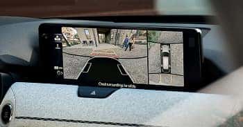 360° View Monitor