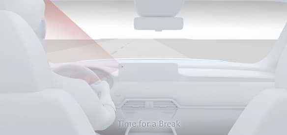 Driver Monitoring
