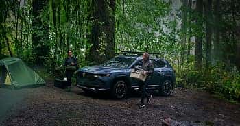 Gallery-2