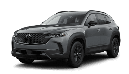 Hybrid Premium