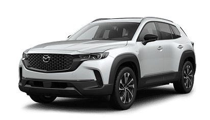 Hybrid Premium Plus