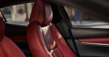 Leather Seats