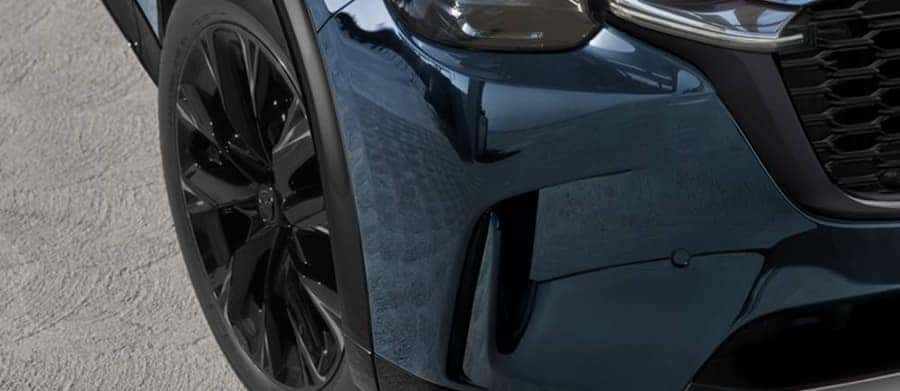 SOPHISTICATED BLACK ACCENTS