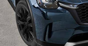 SOPHISTICATED BLACK ACCENTS