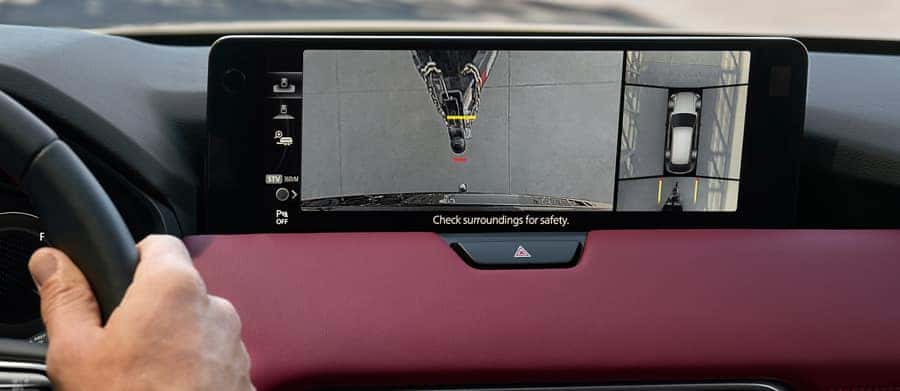 The 360° View Monitor with See-Through