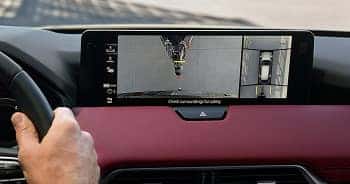 The 360° View Monitor with See-Through