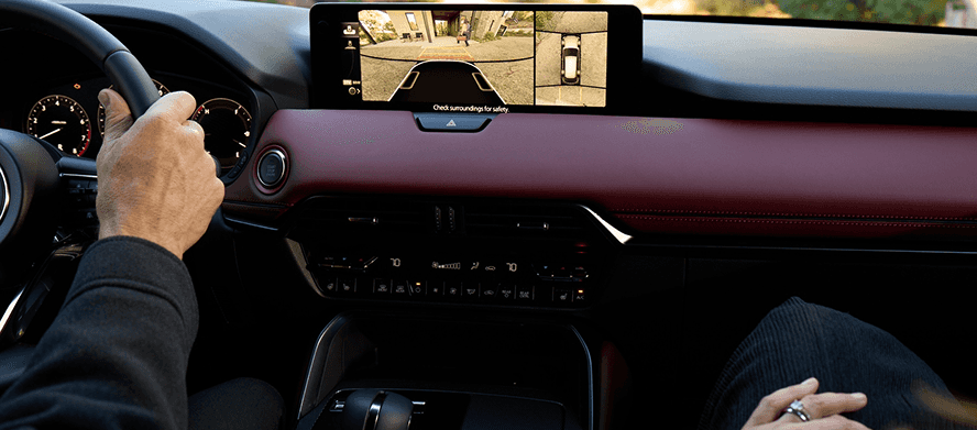 360° View Monitor