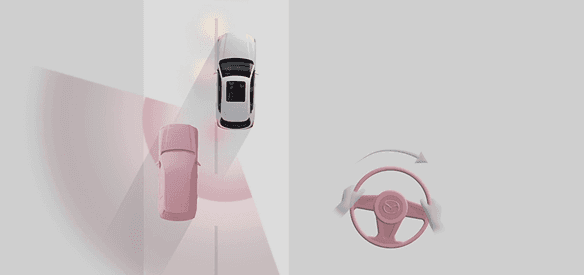 Blind Spot Assist