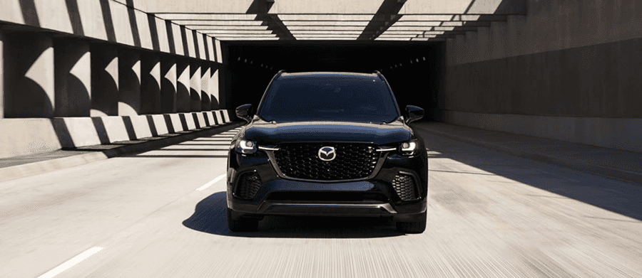 Mild Hybrid Electric Vehicle