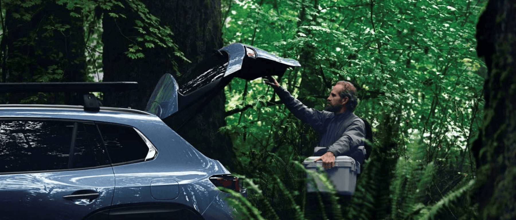 Rear Power Liftgate