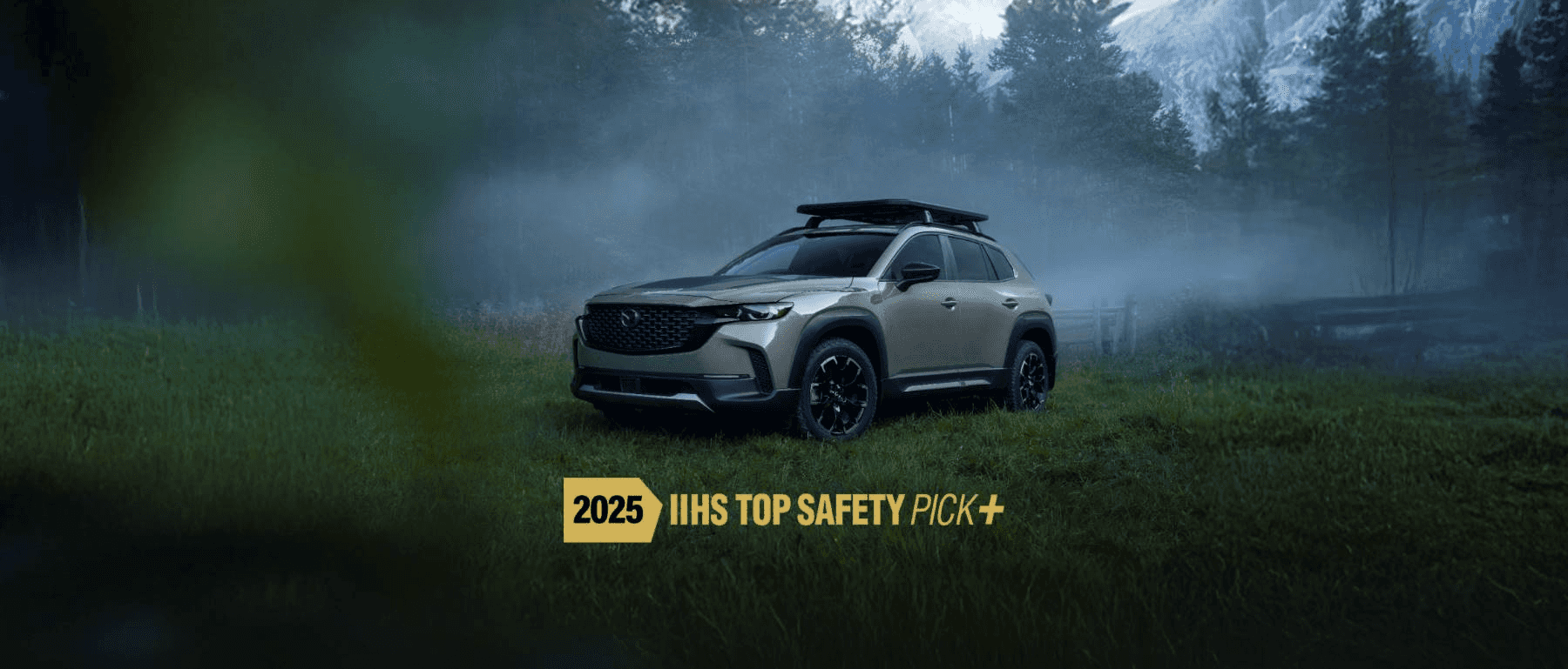 IIHS TOP SAFETY PICK+