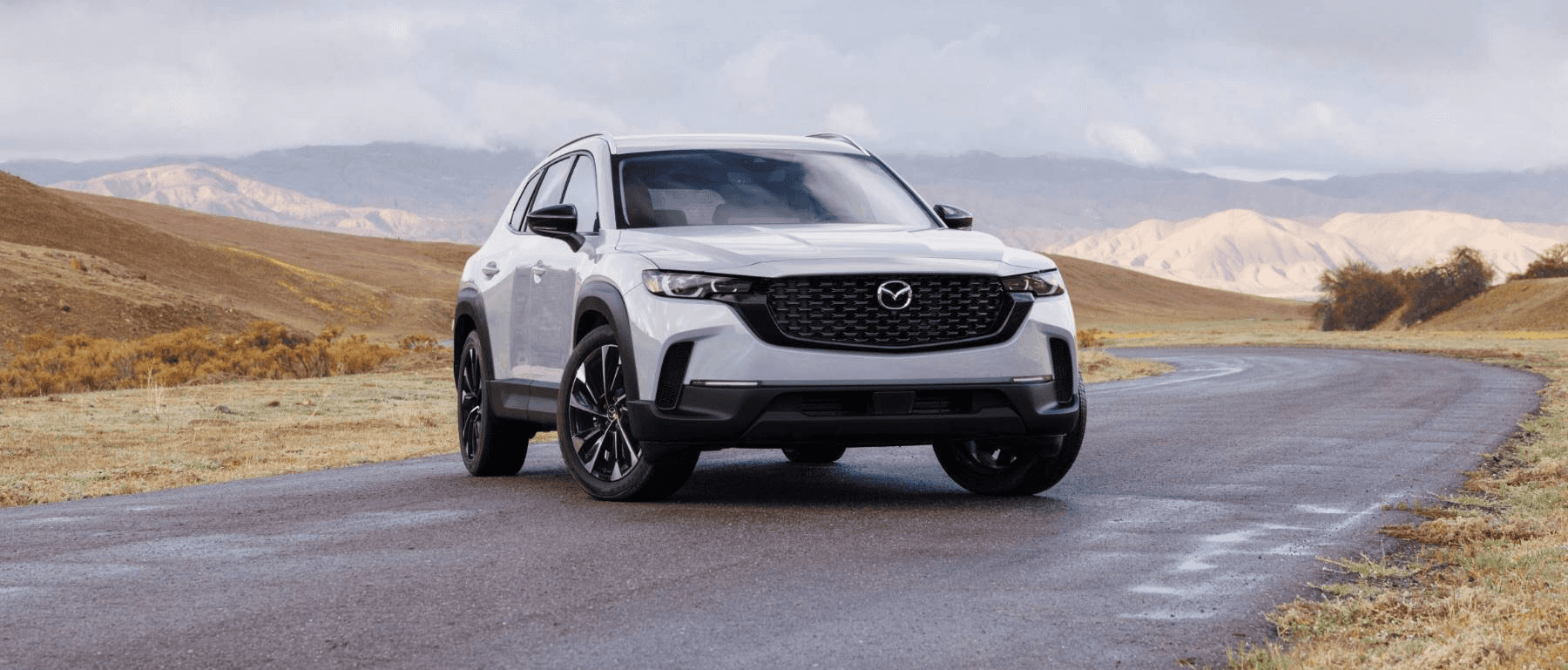 Hybrid Powertrain