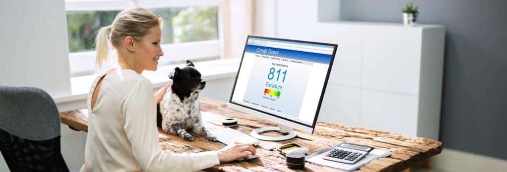 Women Checking Credit Score with Dog