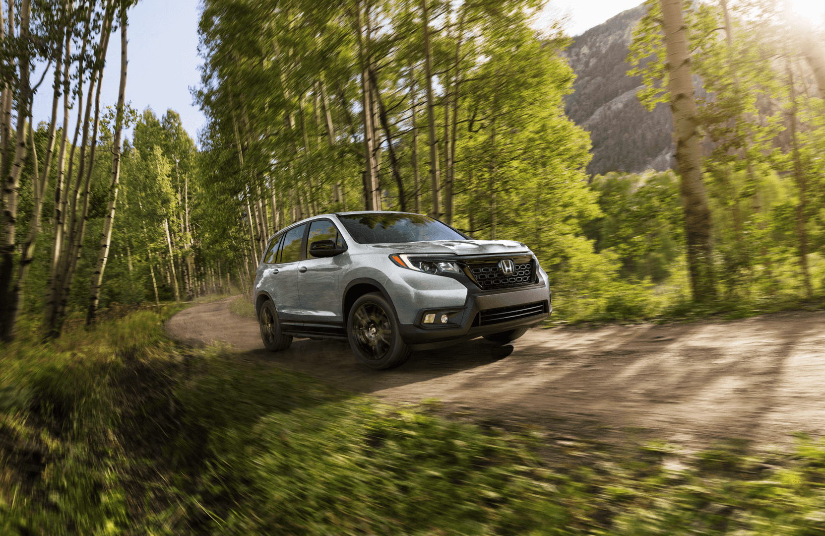 2021 Honda Passport Silver